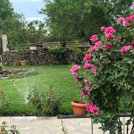 Chez Yvette Panzió Garni Kültér fotó